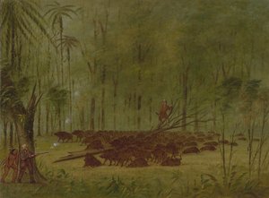 Una Pelea con Pecaríes - Caribe de George Catlin