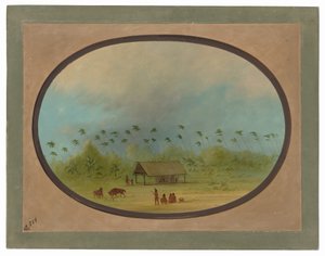 de George Catlin