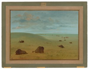Después de la Caza del Búfalo - Sioux