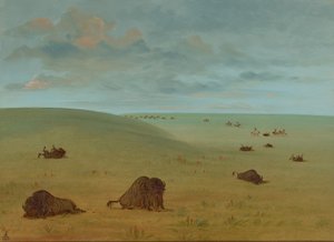 Después de la Caza del Búfalo - Sioux de George Catlin