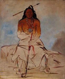 Ah-sháw-wah-róoks-te, Caballo Medicinal, un Gran Valiente Pawnee de George Catlin