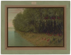 Un bosque amazónico - Mirando a la orilla