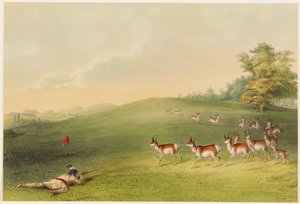  de George Catlin