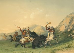 Ataque al oso pardo de George Catlin