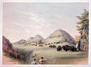 Caza de bisontes de George Catlin