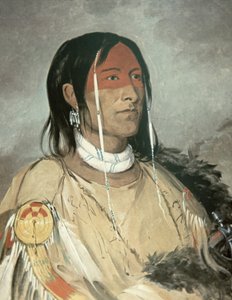 Brazo roto de George Catlin