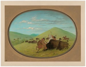 Caza de búfalos - Toros protegiendo a los terneros de George Catlin