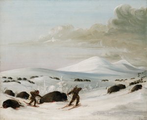 Persecución de búfalos en ventisqueros, indios con raquetas de nieve