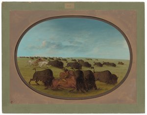 Caza de Búfalos, con Accidentes de George Catlin