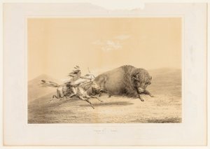 Buffalo Hunt, Chase--no. 5