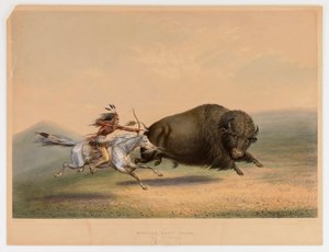Buffalo Hunt, Chase--no. 5 de George Catlin