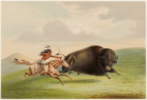  de George Catlin