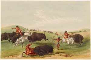 de George Catlin