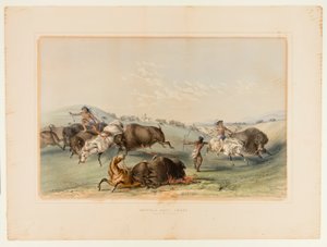 Buffalo Hunt, Chase No. 7 de George Catlin