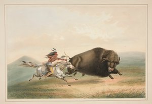Caza de búfalos, Chase, pl. 5 de la cartera de indios norteamericanos de George Catlin