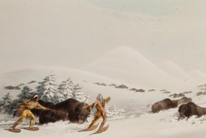  de George Catlin