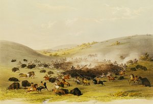Caza de búfalos, rodeo, c.1832 de George Catlin