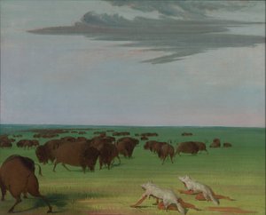Caza de búfalos con máscara de piel de lobo de George Catlin