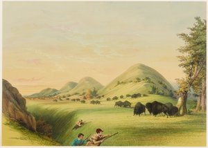 Caza de búfalos, aproximación en un barranco de George Catlin