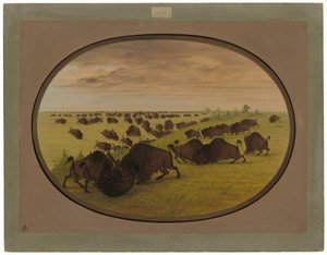Toros peleando de George Catlin