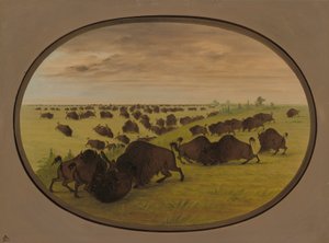 Toros luchando, 1861-1869 de George Catlin