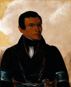 Cú-enfermo, Hijo del Jefe de George Catlin