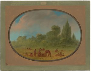 Indios Caddoe Recolectando Fresas Silvestres de George Catlin