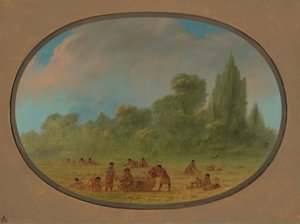 Indios Caddoe recogiendo fresas silvestres, 1861-1869 de George Catlin