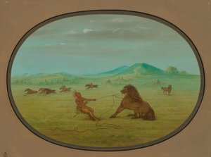 Cazando Caballos Salvajes - Pawnee de George Catlin