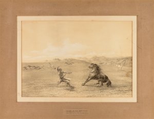 Atrapar al caballo salvaje--no. 4 de George Catlin
