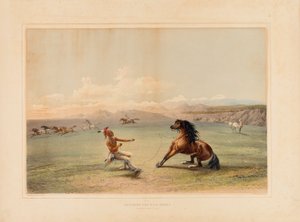Atrapar al caballo salvaje--no. 4 de George Catlin