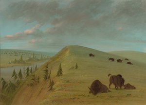 Cedar Bluffs, 1861-1869 de George Catlin