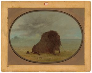 Búfalo Moribundo de George Catlin