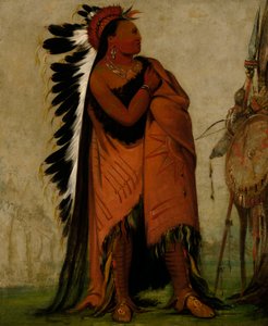 Eé-hee-a-duck-cée-a, El que se ata el pelo antes de de George Catlin