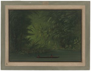 Entrada a una laguna, orilla del Amazonas de George Catlin