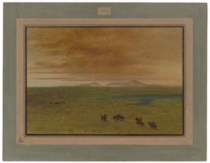 Gran lavadero, Pampa del Sacramento de George Catlin