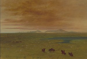 Gran Lavoir, Pampa del Sacramento, 1854-1869 de George Catlin