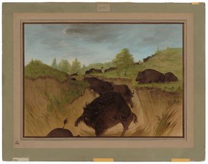 Osos grizzly atacando búfalos de George Catlin