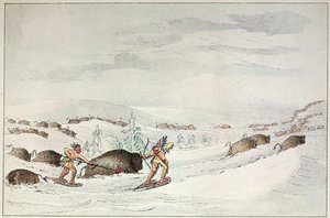 Cazando búfalos con raquetas de nieve de George Catlin