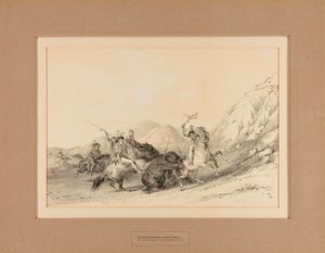 Indios atacando osos pardos--no. 19 de George Catlin