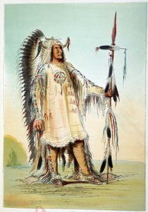Indios de América: Mah-To-Toh-Pa, segundo jefe Mandan en traje de jefe. Ilustración de George Catlin de George Catlin