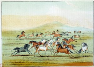 Indios de América: caballos salvajes cazados por indios. Ilustración de George Catlin (1794-1872) de George Catlin