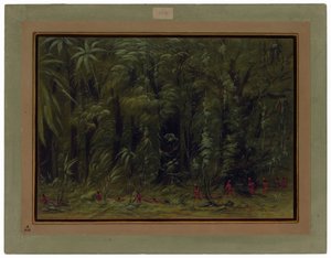 Interior de una selva amazónica - Zurumati de George Catlin