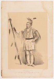 Joc-o-sot, el Oso Caminante de George Catlin