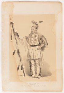 Joc-o-sot, el Oso Caminante de George Catlin