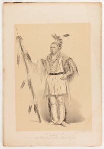 Joc-o-sot, el Oso Caminante de George Catlin