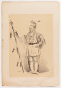 Joc-o-sot, el Oso Caminante de George Catlin