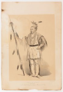 Joc-o-sot, el Oso Caminante de George Catlin