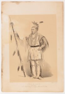 Joc-o-sot, el Oso Caminante de George Catlin