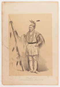 Joc-o-sot, el Oso Caminante de George Catlin